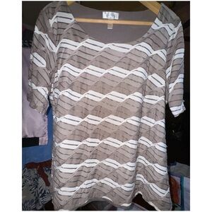 Dress Barn-  Women’s tan Knit Top 1X